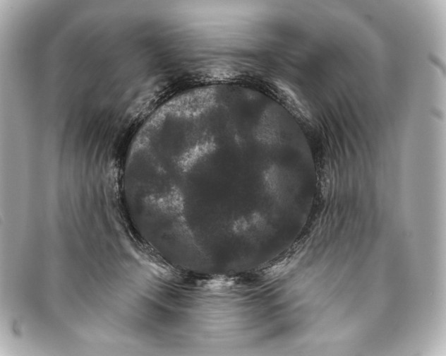 X0000093480366200710261043