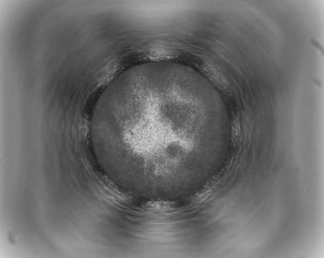 X0000093480367200710261043