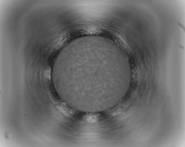 X0000093480368200710261043
