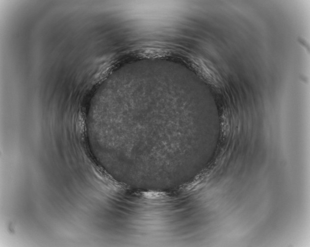 X0000093480371200710261043