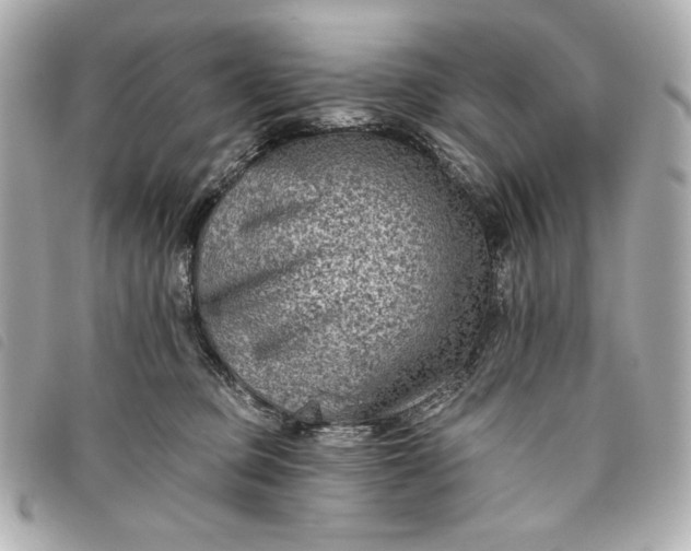 X0000093480373200710261043