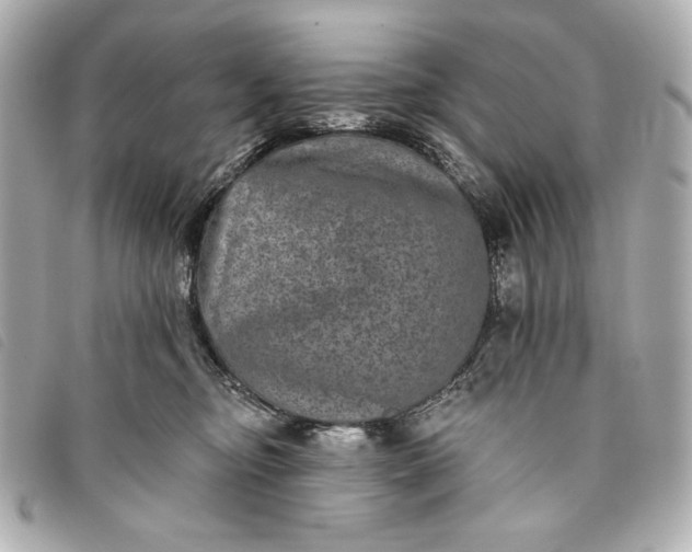 X0000093480374200710261043