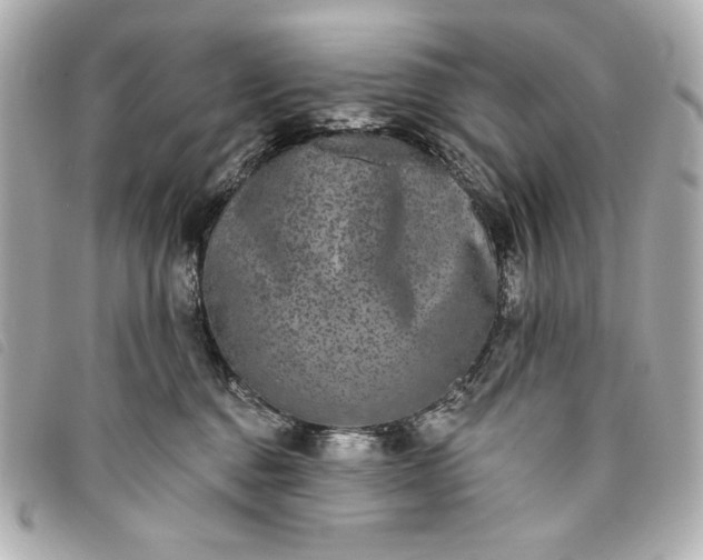 X0000093480376200710261043