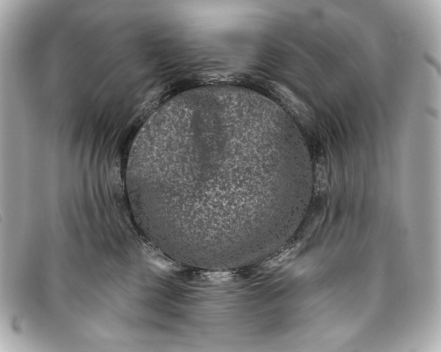 X0000093480377200710261043
