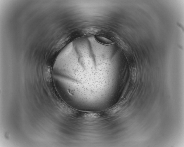 X0000093480378200710261043
