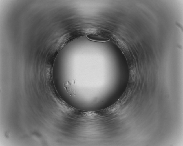 X0000093480379200710261043