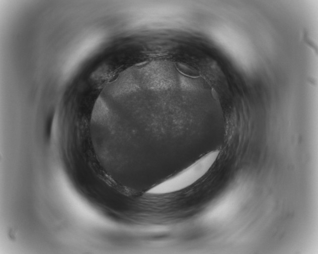 X0000093480383200710261043