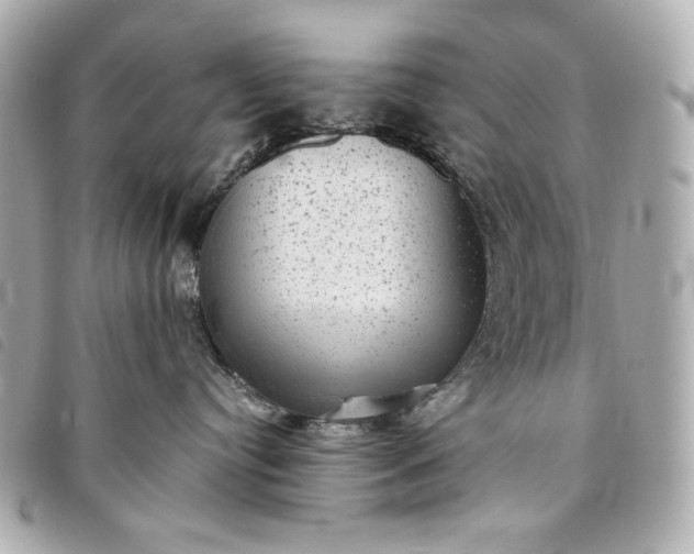 X0000093480384200710261043