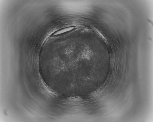 X0000093480386200710261042