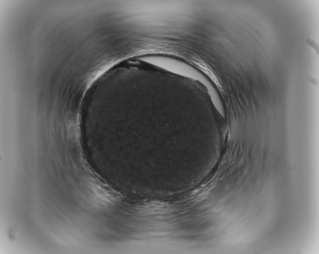 X0000093480387200710261042