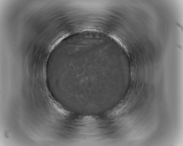 X0000093480390200710261042