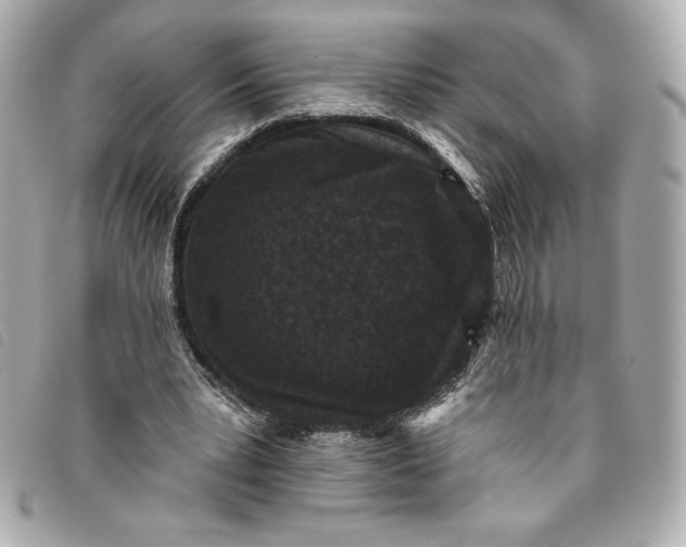 X0000093480391200710261042
