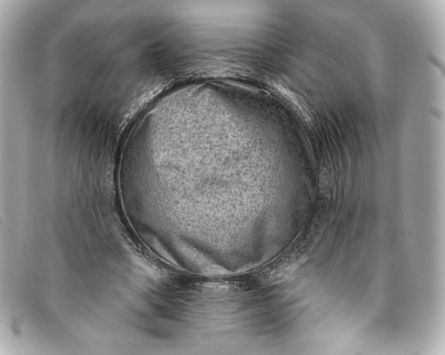 X0000093480394200710261042