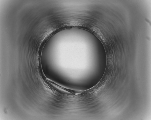 X0000093480395200710261042