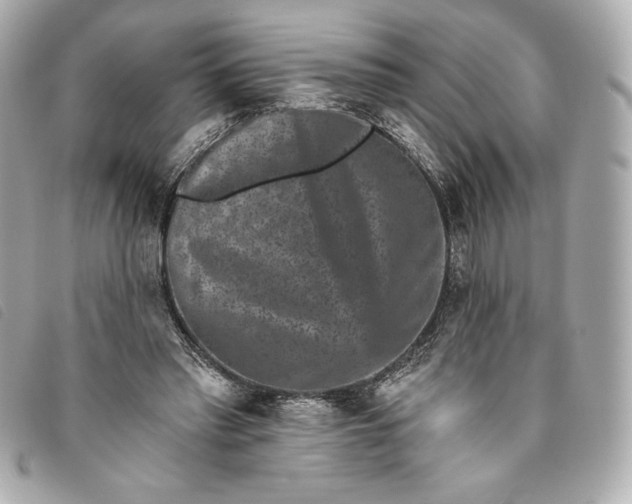 X0000093480397200710261042