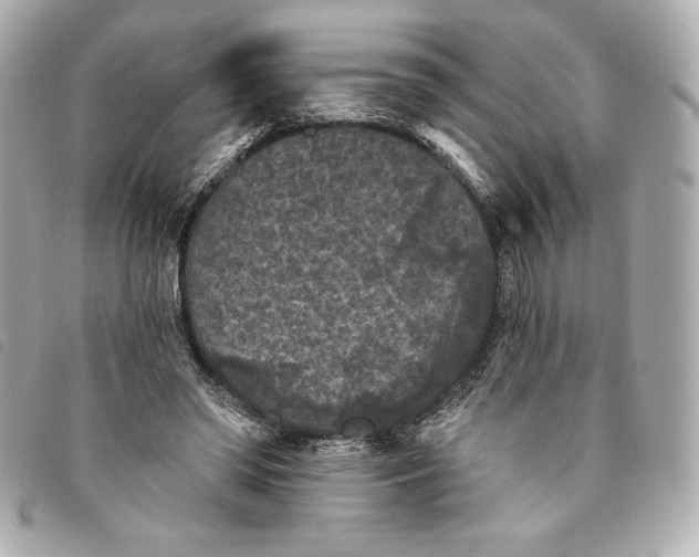 X0000093480398200710261042