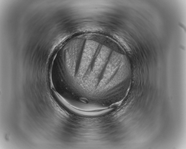 X0000093480399200710261042