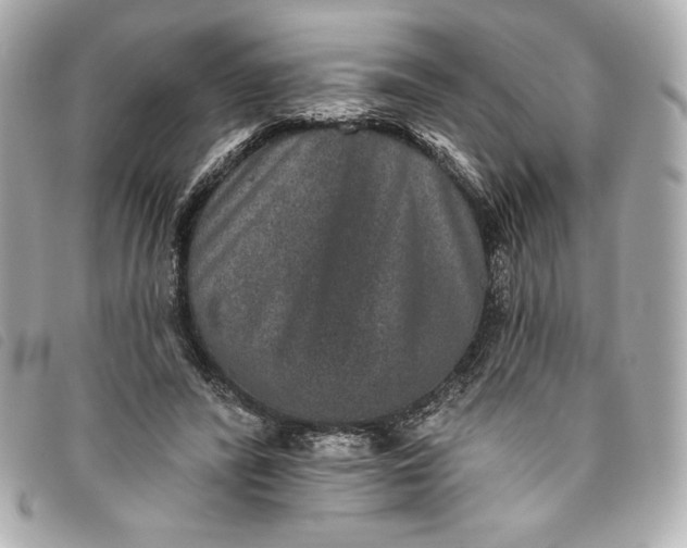 X0000093480400200710261042