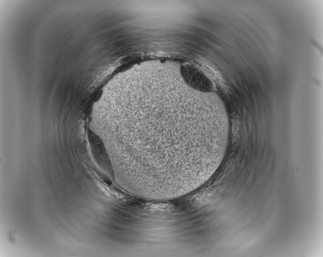 X0000093480401200710261042