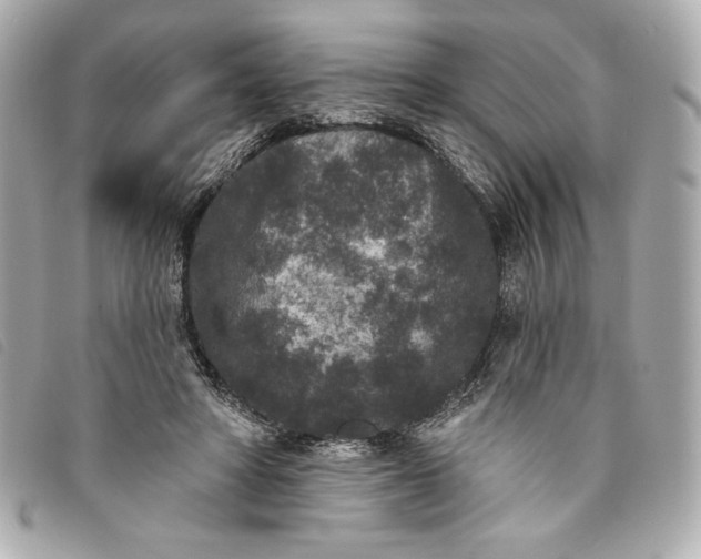 X0000093480402200710261042