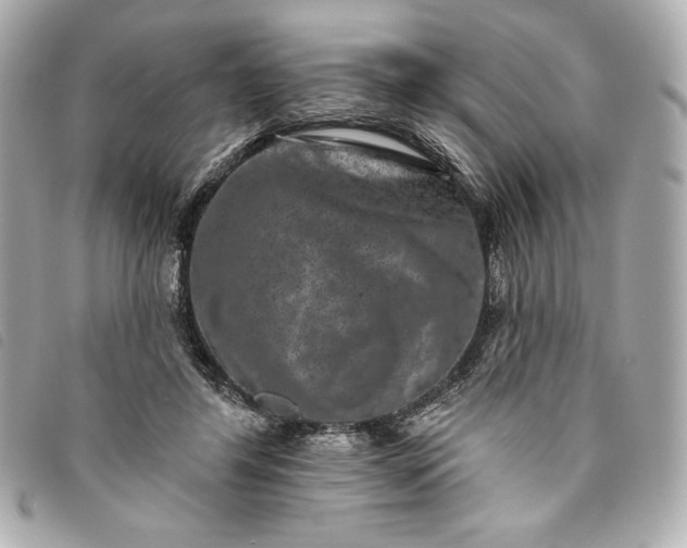 X0000093480404200710261042