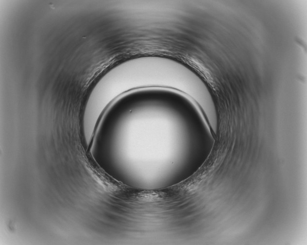 X0000093480405200710261042