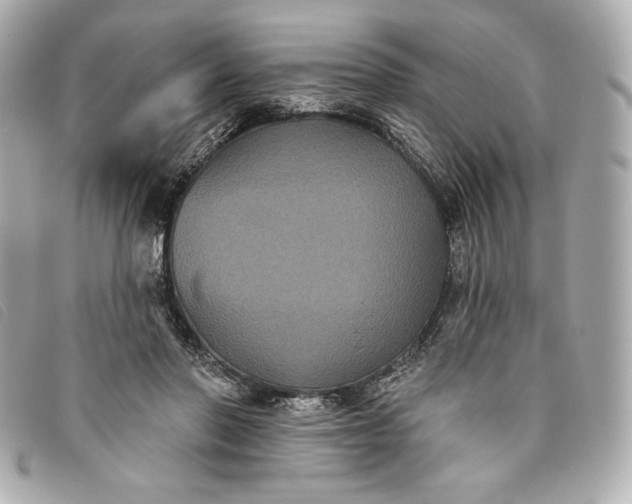 X0000093480406200710261042
