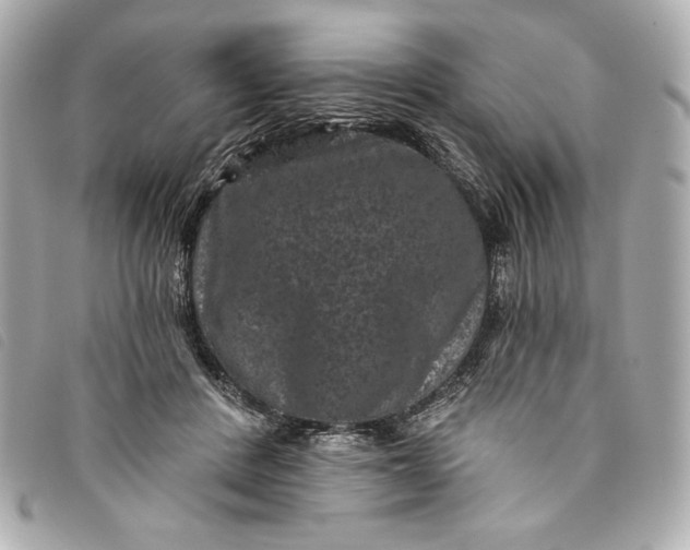X0000093480408200710261042