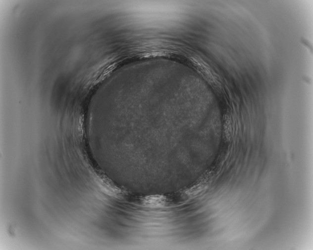X0000093480410200710261042
