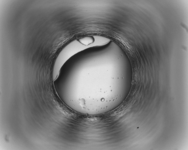 X0000093480411200710261042