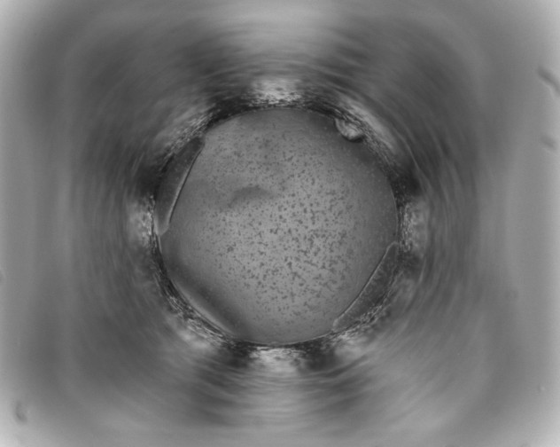 X0000093480417200710261042