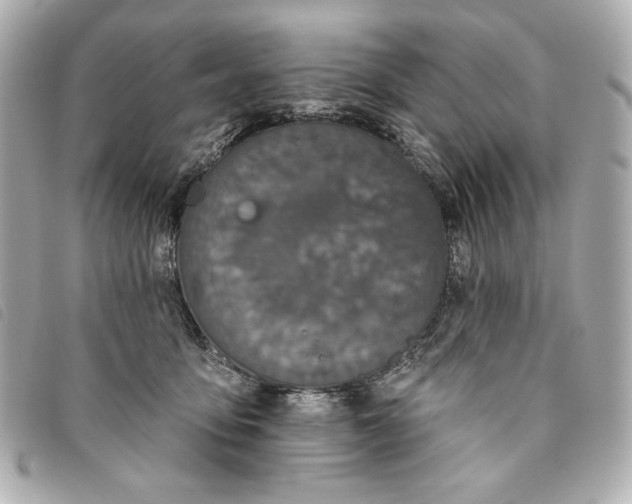 X0000093480419200710261042
