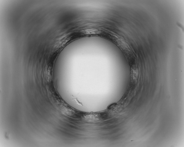 X0000093480422200710261042