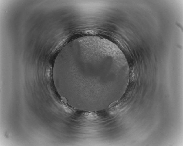 X0000093480424200710261042