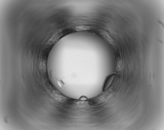 X0000093480426200710261042