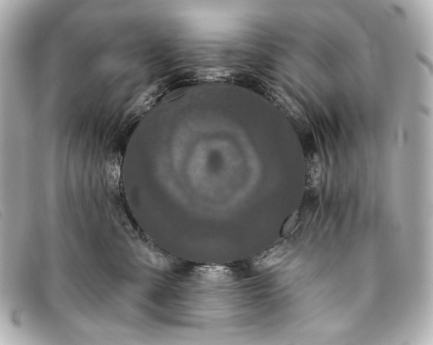X0000093480427200710261042