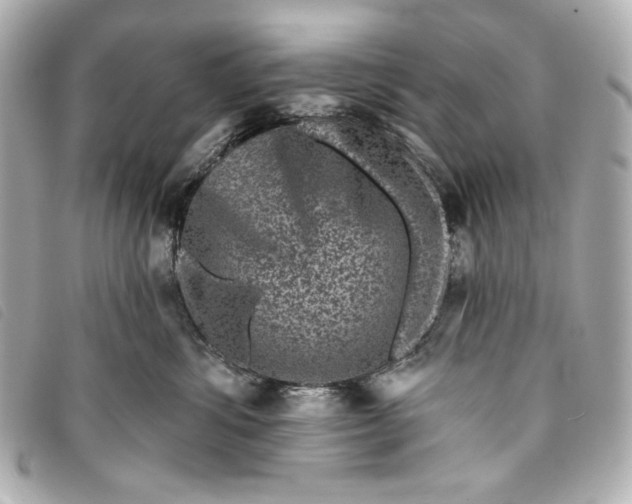 X0000093480428200710261042