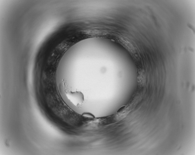 X0000093480430200710261042