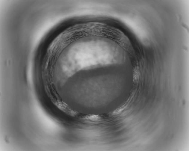 X0000093480431200710261042