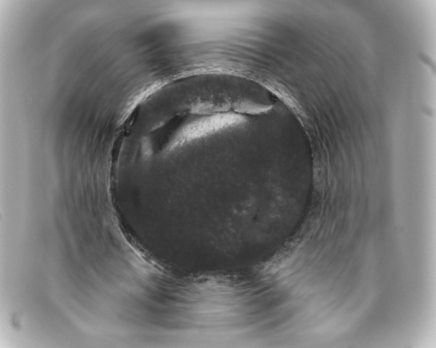 X0000093480434200710261041