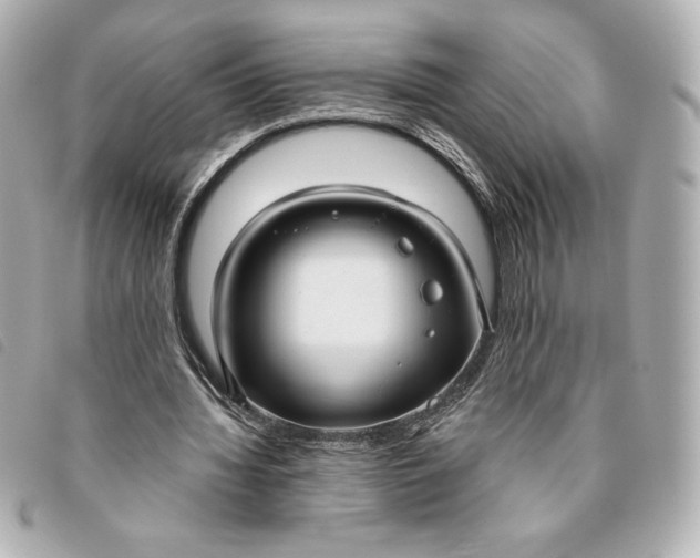 X0000093480436200710261041