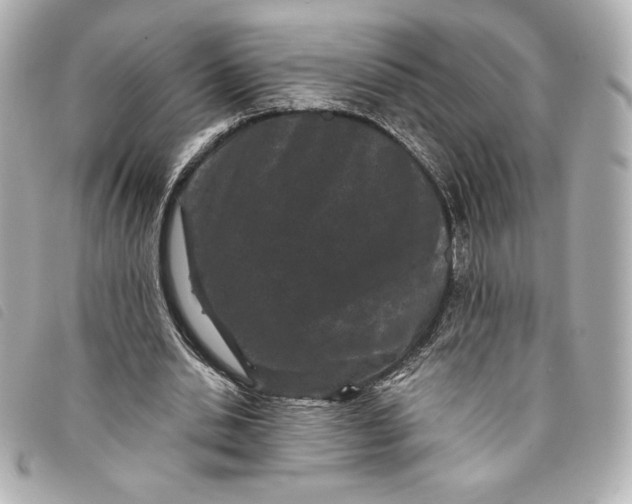 X0000093480438200710261041