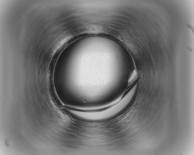 X0000093480440200710261041