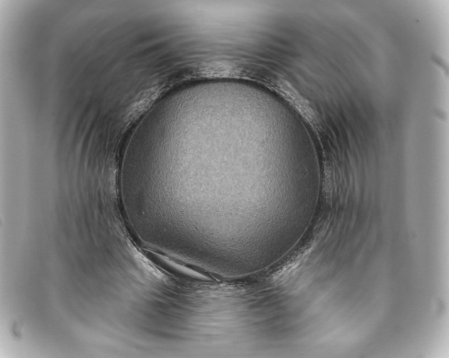 X0000093480441200710261041