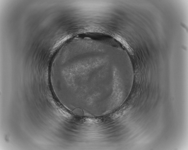 X0000093480442200710261041