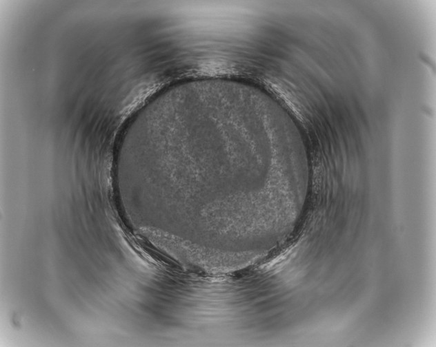 X0000093480443200710261041