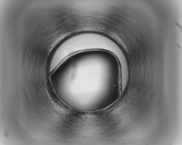 X0000093480444200710261041