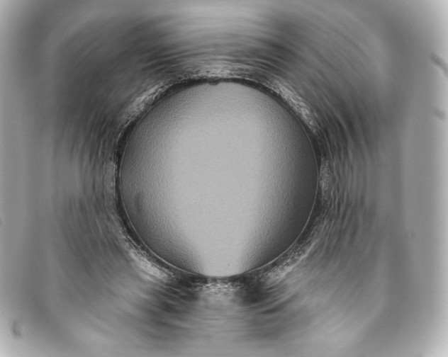X0000093480445200710261041