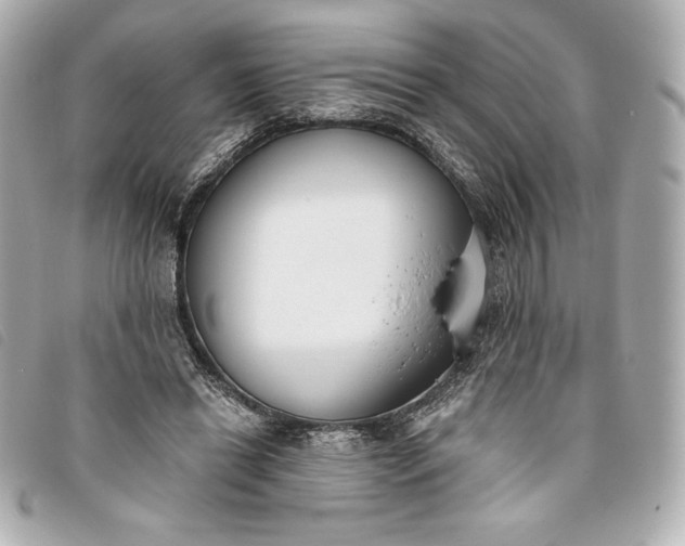 X0000093480446200710261041