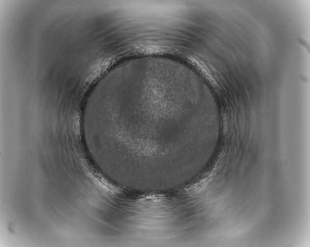 X0000093480447200710261042